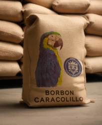 Moka - Caracolillo - Bolsa de 60 Kg