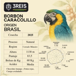 Moka - Caracolillo - Bolsa de 60 Kg