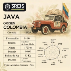 JAVA WASHED MICROLOT - LA VILLA
