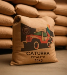 CATURRA NATURAL MICROLOT - BUENOS AIRES