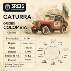 CATURRA NATURAL MICROLOT - BUENOS AIRES