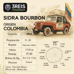 BOURBON SIDRA NATURAL - SAN GABRIEL