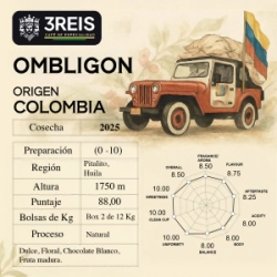 OMBLIGON NATURAL - EL DIVISO